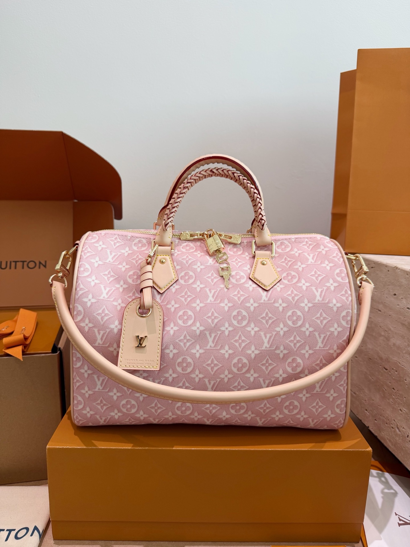 Louis Vuitton LV Speedy Women's Early Fall Collection Shoulder Carry